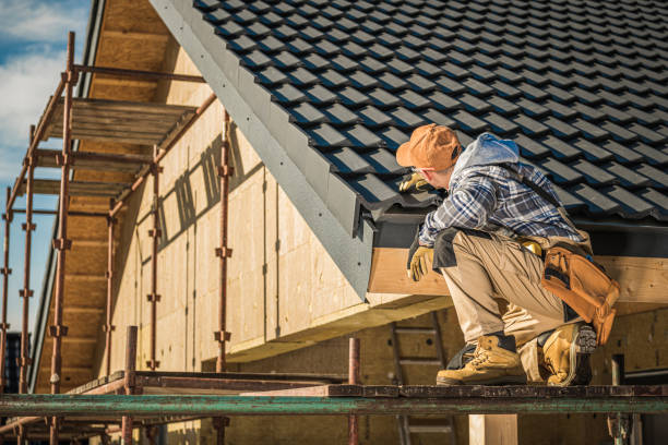 Best Roof Moss and Algae Removal  in Atkinson, NE